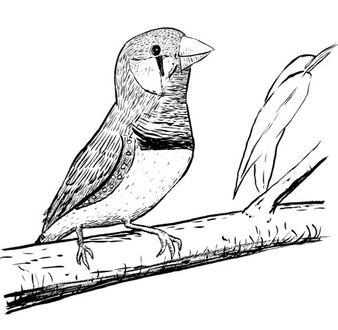 Web-Bk-12---image-03